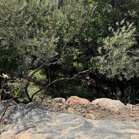 Du Vissou Au Coeur De La Nature *